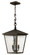 Trellis LED Hanging Lantern in Regency Bronze (13|1432RBLL)