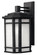 Cherry Creek LED Wall Mount in Vintage Black (13|1274VK)