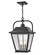 Kingston LED Hanging Lantern in Black (13|10012BK)