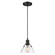 Orwell One Light Mini Pendant in Matte Black (62|3306SBLKCLR)