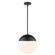 Dixon One Light Pendant in Matte Black (62|3218LBLKBLK)