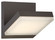 Angle LED Outdoor Lantern in Oil Rubbed Bronze (42|P1259143L)
