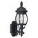 Wynfield One Light Outdoor Wall Lantern in Black (1|8820012)