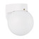 Outdoor Wall One Light Outdoor Wall Lantern in White (1|8753EN315)