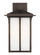 Tomek One Light Outdoor Wall Lantern in Antique Bronze (1|8752701EN371)