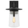Tybee One Light Outdoor Wall Lantern in Black (1|870890112)