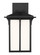 Tomek One Light Outdoor Wall Lantern in Black (1|8552701EN312)