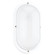 Bayside One Light Outdoor Wall Lantern in White (1|833515)