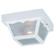 Outdoor Ceiling Two Light Outdoor Flush Mount in White (1|756915)