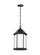 Sevier One Light Outdoor Pendant in Antique Bronze (1|6238751EN371)