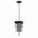 Bloomfield LED Pendant in Matte Black (40|44370015)