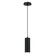 Neptune LED Pendant in Black (40|37182021)