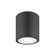 Cask LED Ceiling Mount in Matte Black (40|34328025)