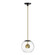 Nucleus LED Pendant in Black / Natural Aged Brass (86|E25154BKNAB)