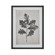 Oak Botanic Framed Wall Art in Black (45|S005610635)