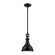 Rutherford One Light Mini Pendant in Oil Rubbed Bronze (45|570601)