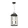 Braddock Two Light Outdoor Pendant in Architectural Bronze (45|454432)