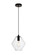 Placido One Light Pendant in Black and Clear (173|LDPD2115)