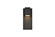 Raine LED Outdoor Wall Lamp in black (173|LDOD4007BK)