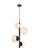 Wells Four Light Pendant in black (173|LD655D18BK)