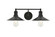 Etude Two Light Wall Sconce in black (173|LD4033W21BK)