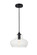 DESTRY One Light Pendant in Black and Clear (173|LD2246BK)