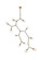 Cavoli 11 Light Pendant in Light Antique Brass (173|1712G73LAB)