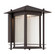 Hadley LED Wall Lantern in Burnished Bronze (43|LED32531BNB)