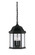 Devonshire Three Light Hanging Lantern in Black (43|2984BK)