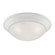 Tap Two Light Flush Mount in Matte White (43|1360MMW)