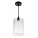 Glass One Light Mini Pendant in Black (401|5553P7Clear)