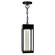 Rochester LED Outdoor Hanging Lantern in Black (401|1696P51101)