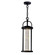 Greenwood LED Outdoor Pendant in Black (401|0407P61101)