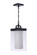 Hayner One Light Outdoor Pendant in Midnight (46|ZA5621MN)