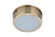 Fenn LED Flushmount in Satin Brass (46|X6709SBLED)