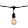 String String Light in Black (427|810004)