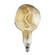 10 Light Bulb in Antique (427|776318)