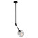 Organic One Light Pendant in Black (78|JA14020BK)