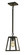 Vintage One Light Pendant in Pewter (37|VISH6WOP)