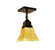 Ruskin One Light Ceiling Mount in Bronze (37|RCM1BZ)