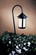 Berkeley One Light Stem Mount in Rustic Brown (37|LV36B6OFRB)