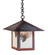 Evergreen One Light Pendant in Rustic Brown (37|EH16PFRMRB)