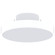 Nieve Ceiling Light in White (303|NV5010V30WH)