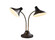 Ascot Two Light Desk Lamp in Black & Antique Brass (262|337101)