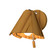 Fuchsia One Light Wall Lamp in Teak (486|413612)