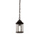 Madison One Light Hanging Lantern in Matte Black (106|5185BKSD)