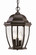 Wexford Three Light Hanging Lantern in Matte Black (106|5036BK)
