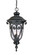 Naples Three Light Hanging Lantern in Matte Black (106|2126BK)