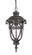 Naples One Light Hanging Lantern in Marbleized Mahogany (106|2116MM)