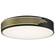 Maestro LED Flush Mount in Black (18|49951LEDDBLACR)